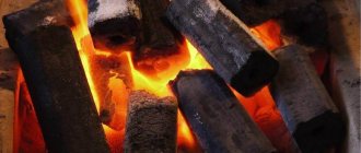 Negosyo sa fuel briquettes