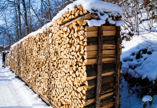 Viên nén hoặc viên nén. Sản xuất cái gì có lợi hơn
