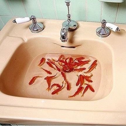 Sink bundventil: sorter og DIY-installation