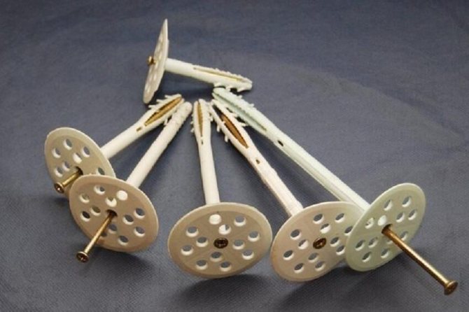 Dowel svamp