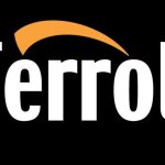 Ferroli-kaasukattilat: tarkistus, arvostelut, toimintahäiriöt