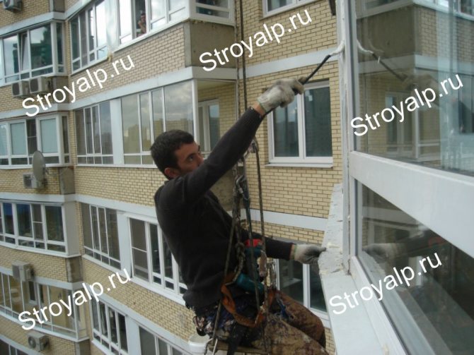 Tesniace švy