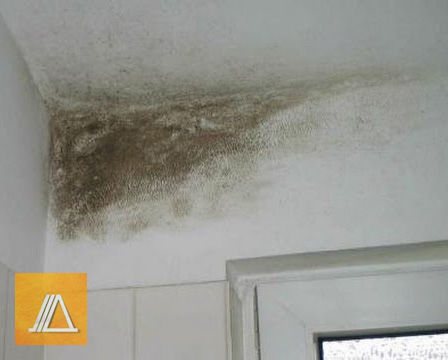 chống thấm khuôn phòng tắm linh hoạt