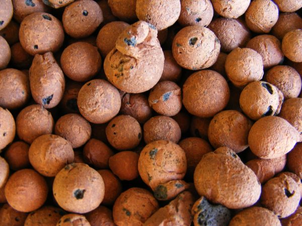 Expandovaná hlína pomůže v boji proti myším