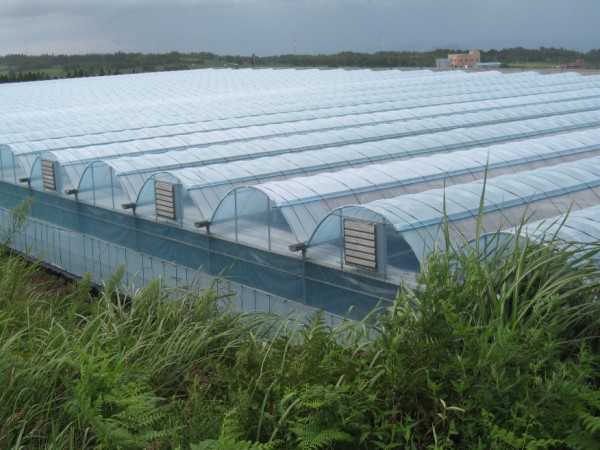 Riscaldamento di serre industriali con cavo scaldante