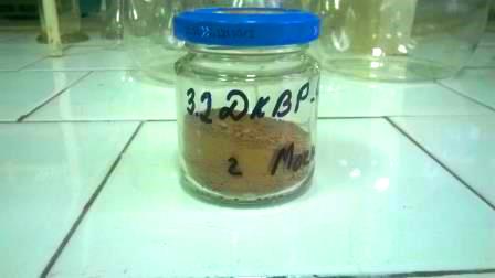 scale sample for research
