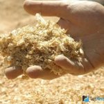 Serragem para isolamento de teto