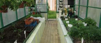 Trước khi làm giường ấm trong nhà kính, bạn nên nghiên cứu các khuyến nghị của các chuyên gia.