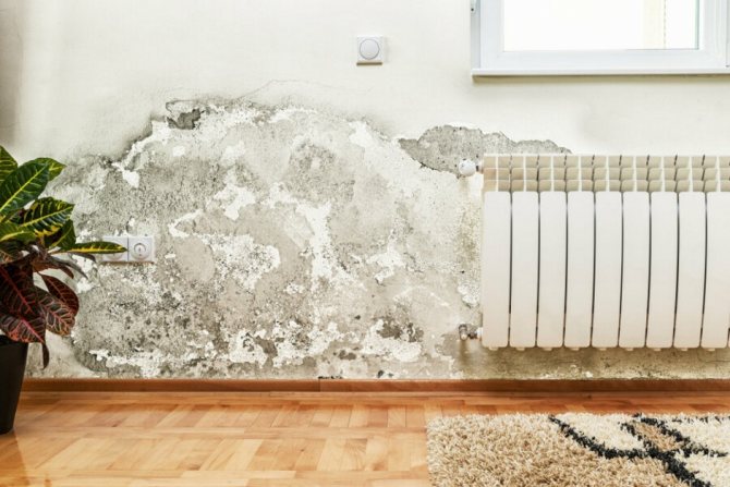 humidité et moisissure dans l'appartement