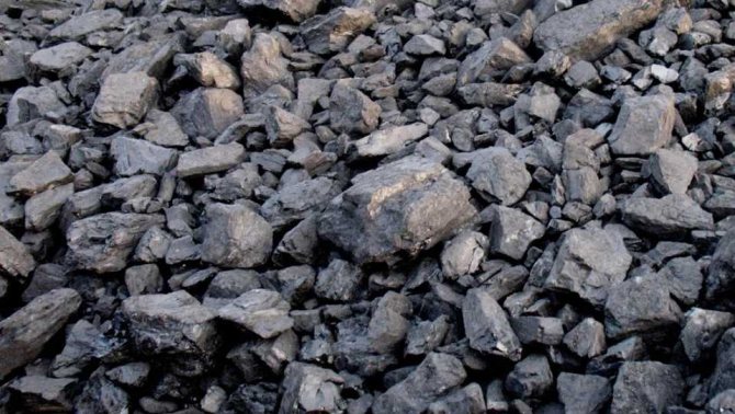 Than sưởi ấm gia đình: Làm thế nào để lựa chọn? Đặc điểm và các loại than