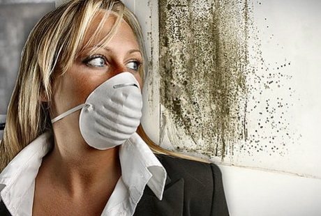 Thật nguy hiểm khi sống trong những căn phòng được cách nhiệt bằng bông khoáng từ bên trong
