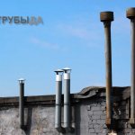 Funghi di ventilazione