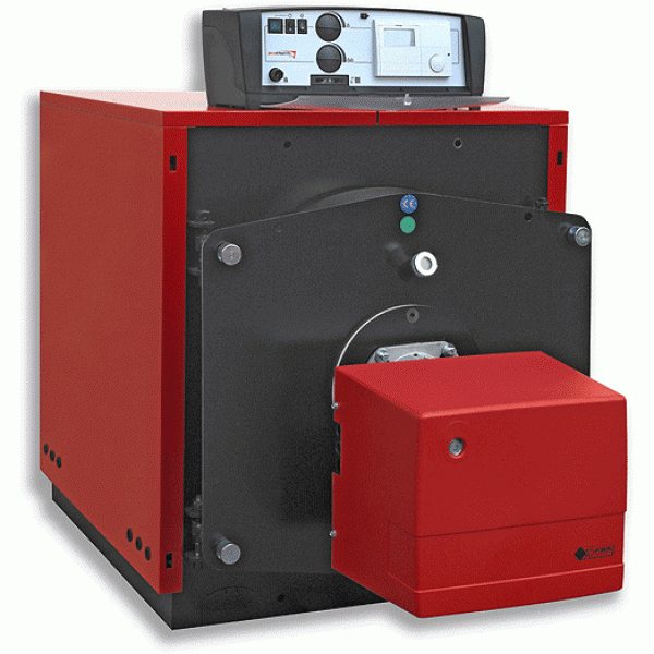 Scelta delle caldaie per il riscaldamento a carbone: caratteristiche del lavoro, scelta del carburante, modelli popolari