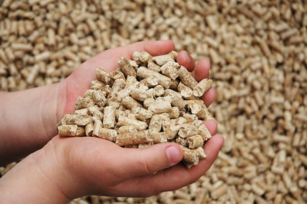 Lựa chọn nồi hơi dạng viên. Cách lắp đặt nồi hơi dạng viên